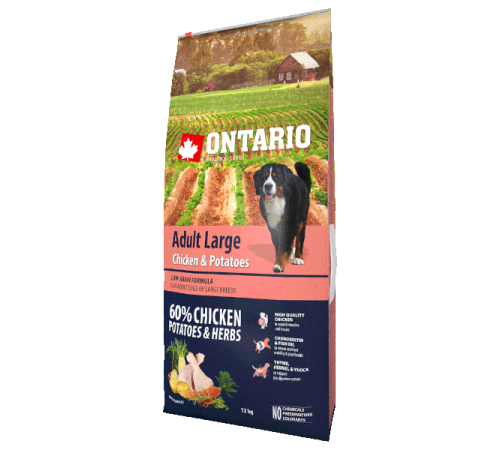 Ontario Large Chicken&Potatoes - сухий корм для дорослих собак великих порід з куркою та картоплею, 12кг