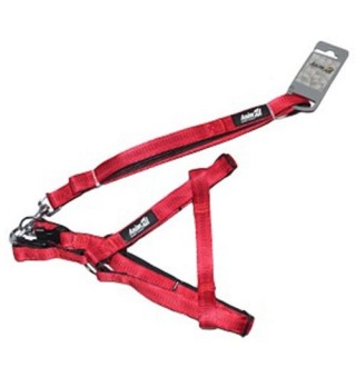 AnimAll Поводок+шлея HJ-LН254 RED 20x1200x15mm+40/65 cm