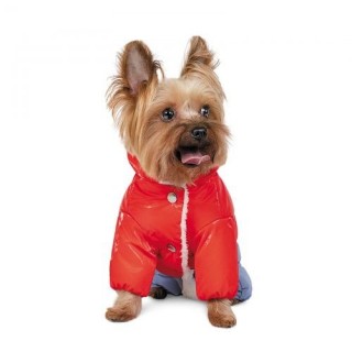 Костюм дівчинка PRETTY L