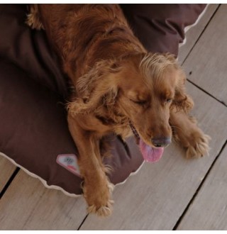 Лежак ASKOLD 4 (80*60*13) бежево-коричневий, PR241762