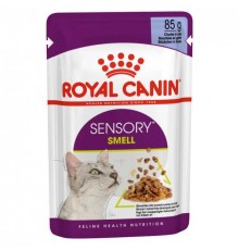 Royal Canin Sensory Smell in jelly - вологий корм для котів, що стимулює нюхові рецептори, 0,085кг