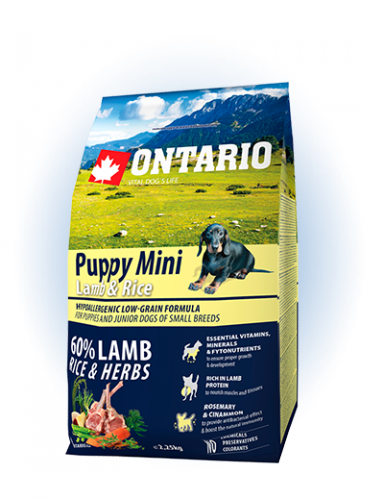 Ontario Puppy Mini Lamb&Rice - сухий корм для цуценят дрібних порід з ягням та рисом, 2,25кг
