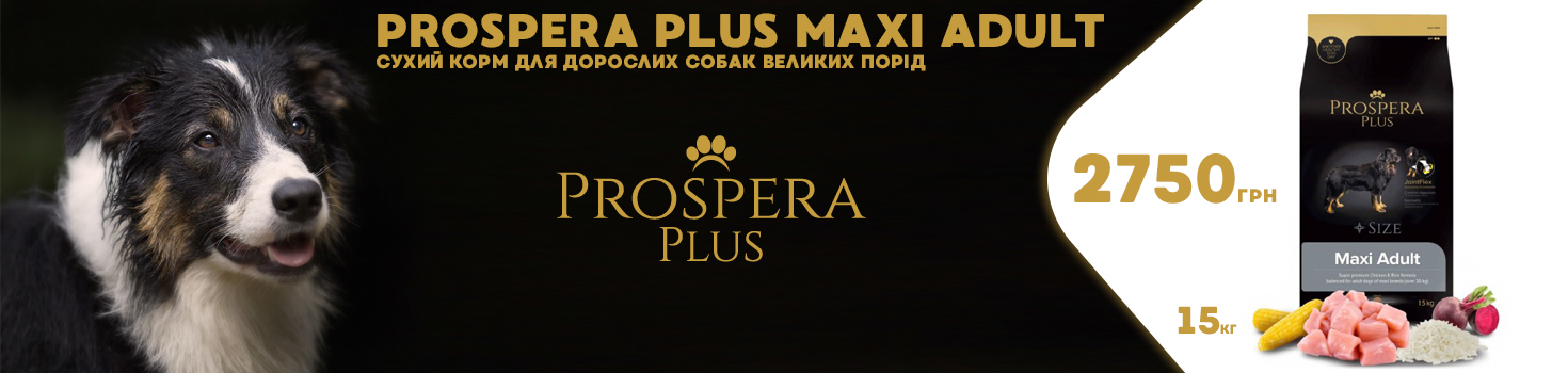 prospera_banner_rev_big2